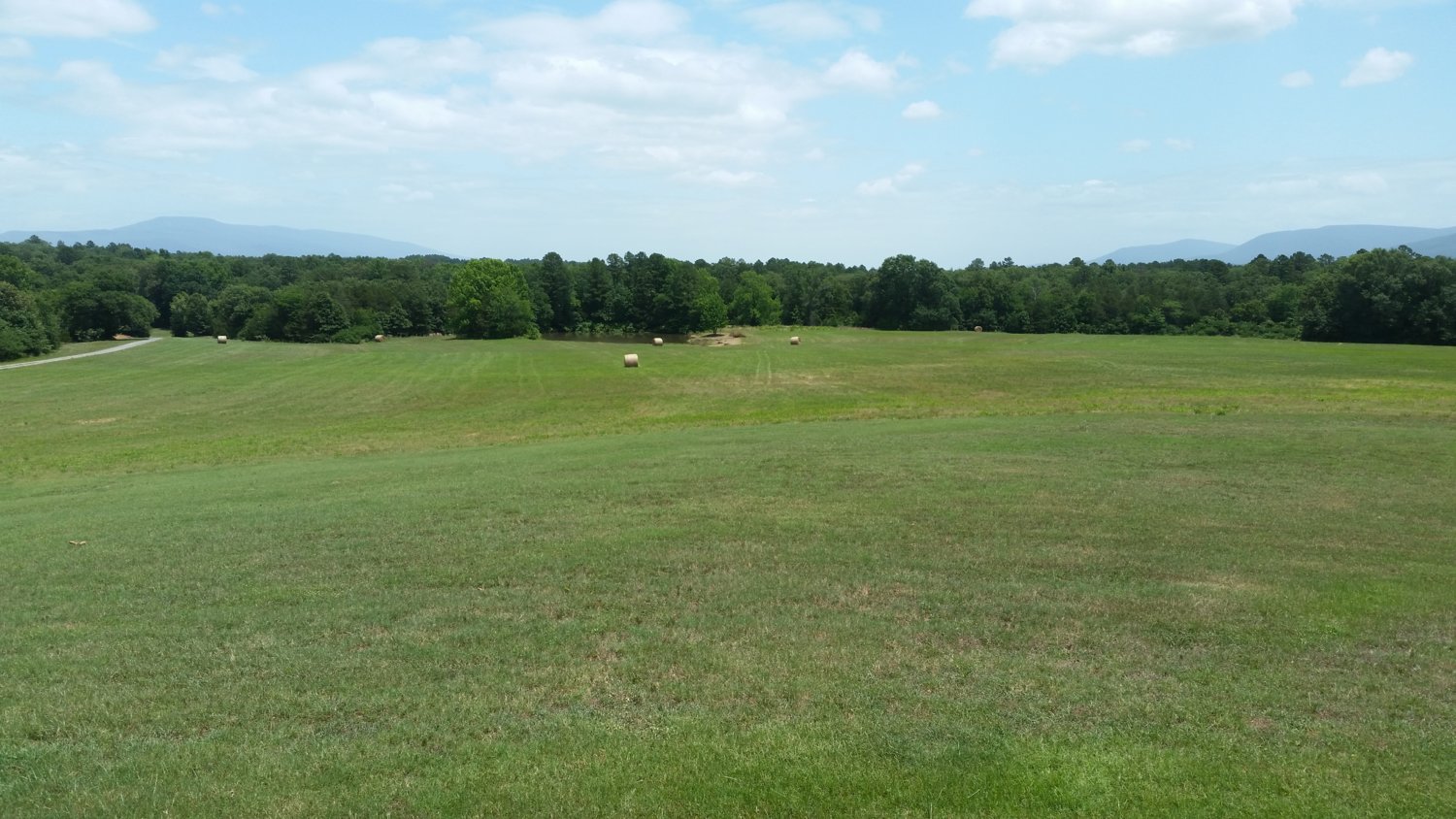 20180619_132528_northern_part_of_east_pasture.jpg