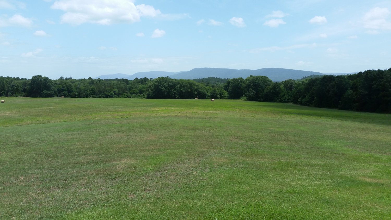 20180619_132539_southern_part_of_east_pasture.jpg