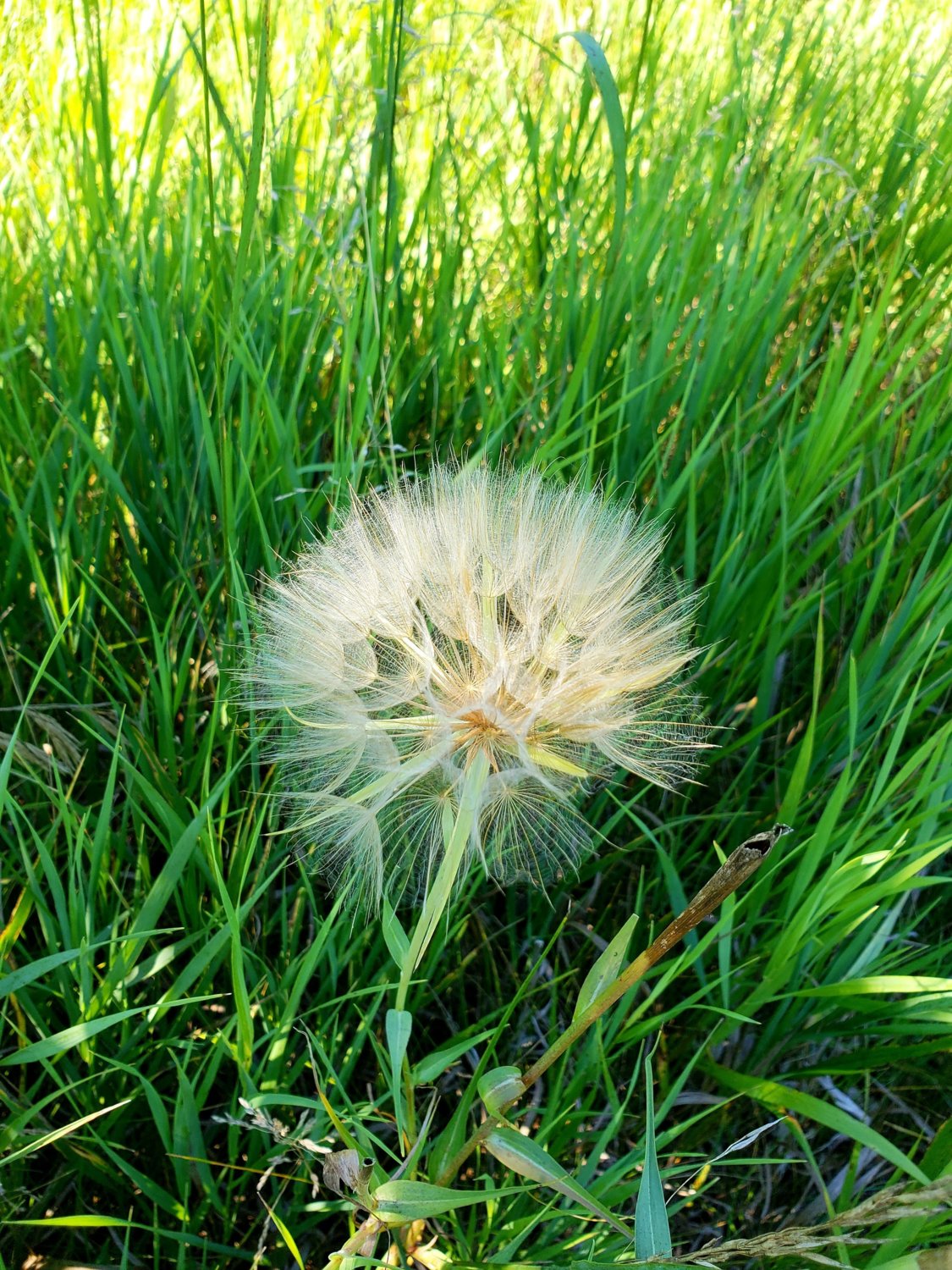20180708_150341.jpg