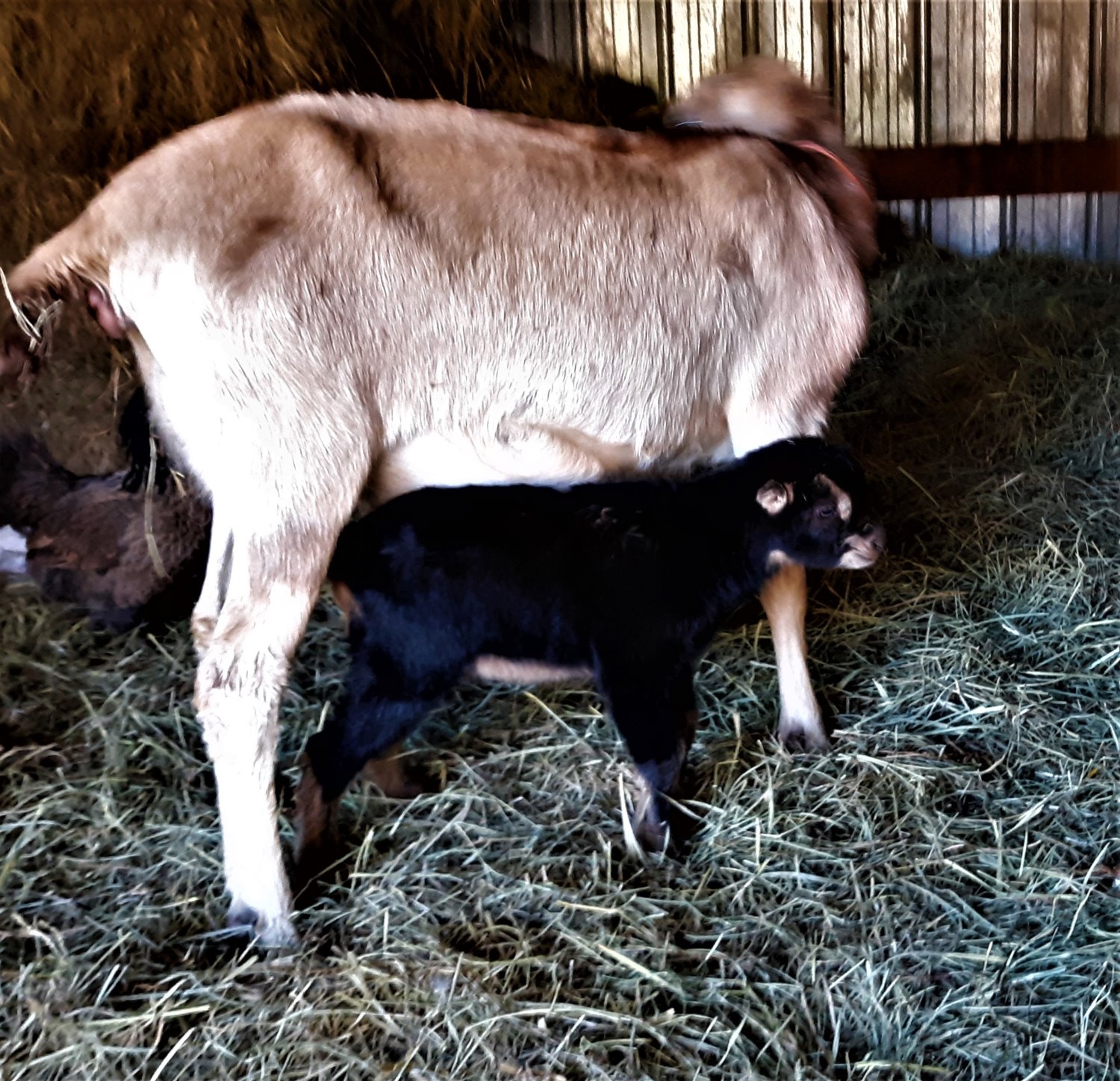 20190224_152048 (2).jpg