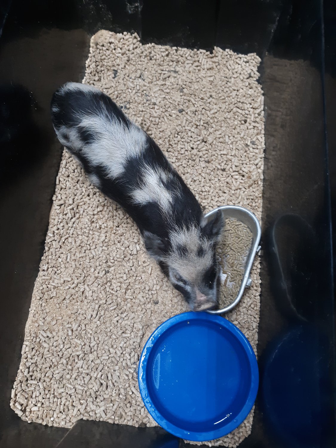 20190616_095216.jpg