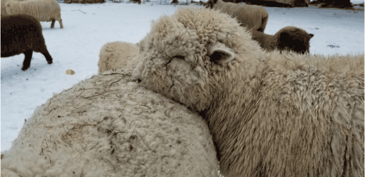 20210218_181549.gif