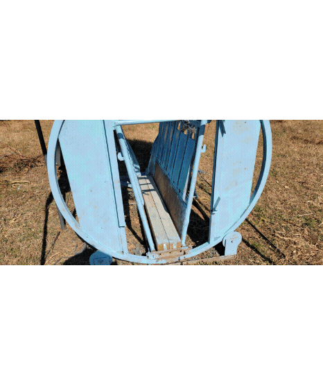 20221015_190312.gif