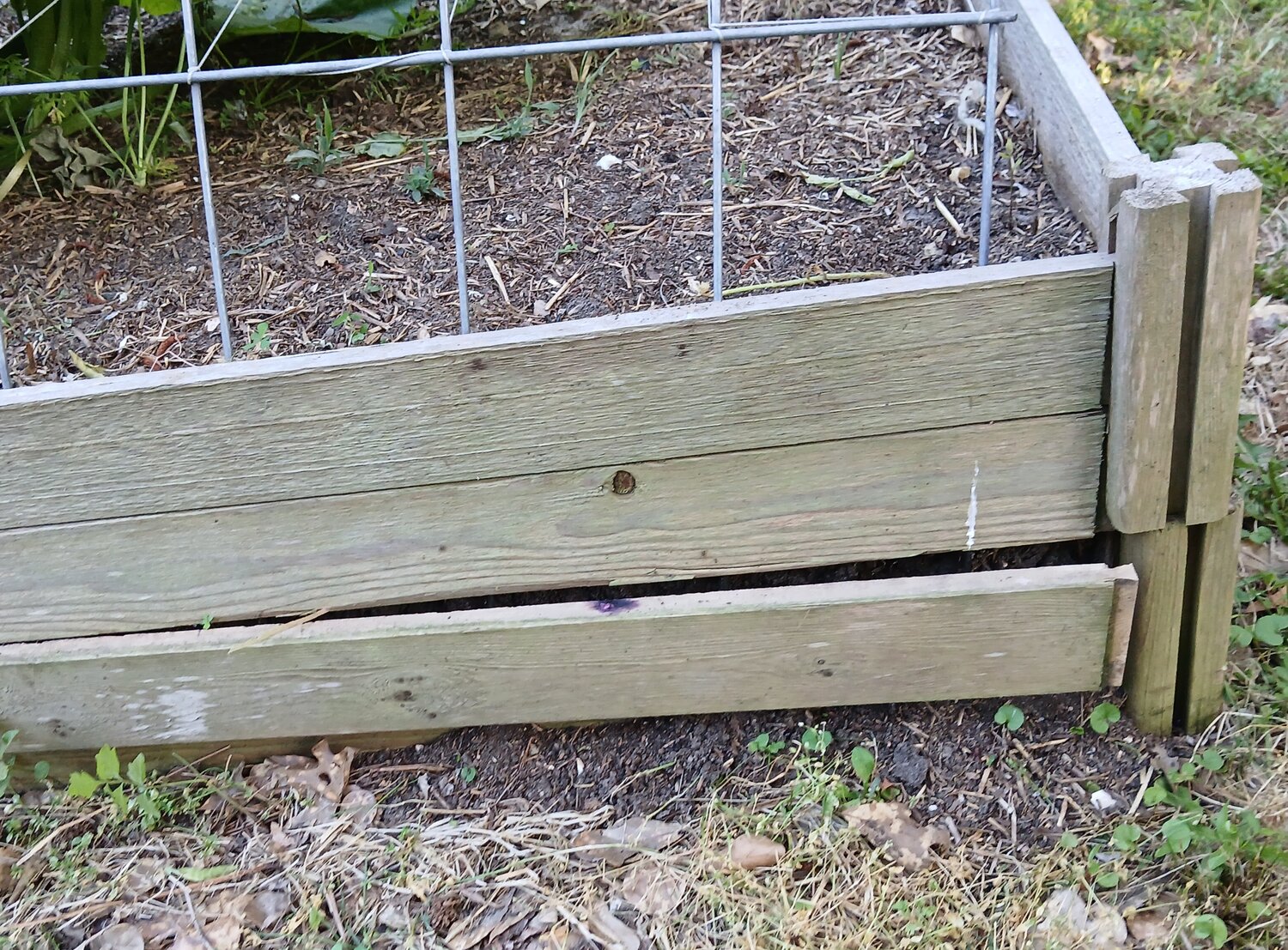 20250521_192113.jpg