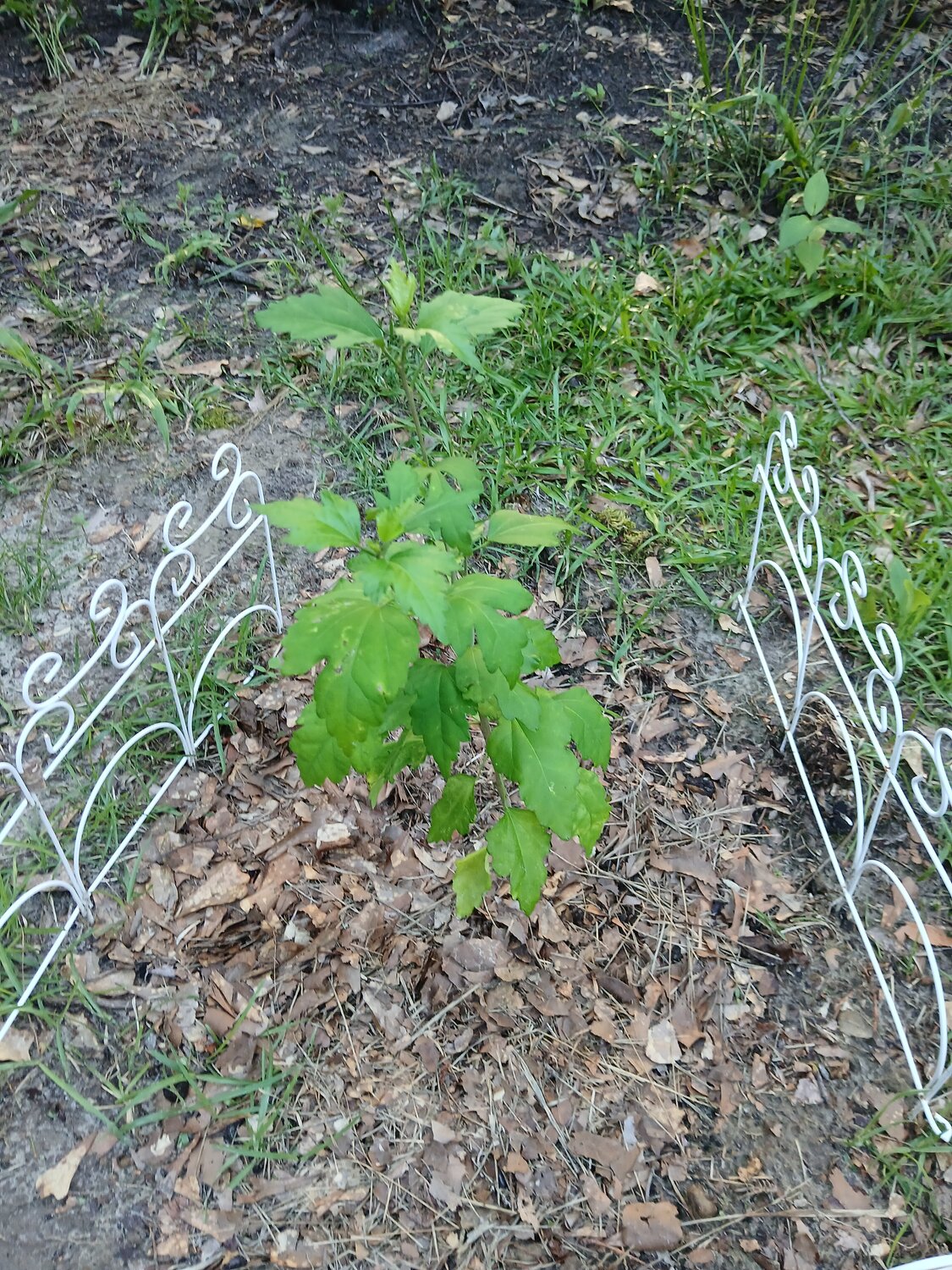20250528_185829.jpg