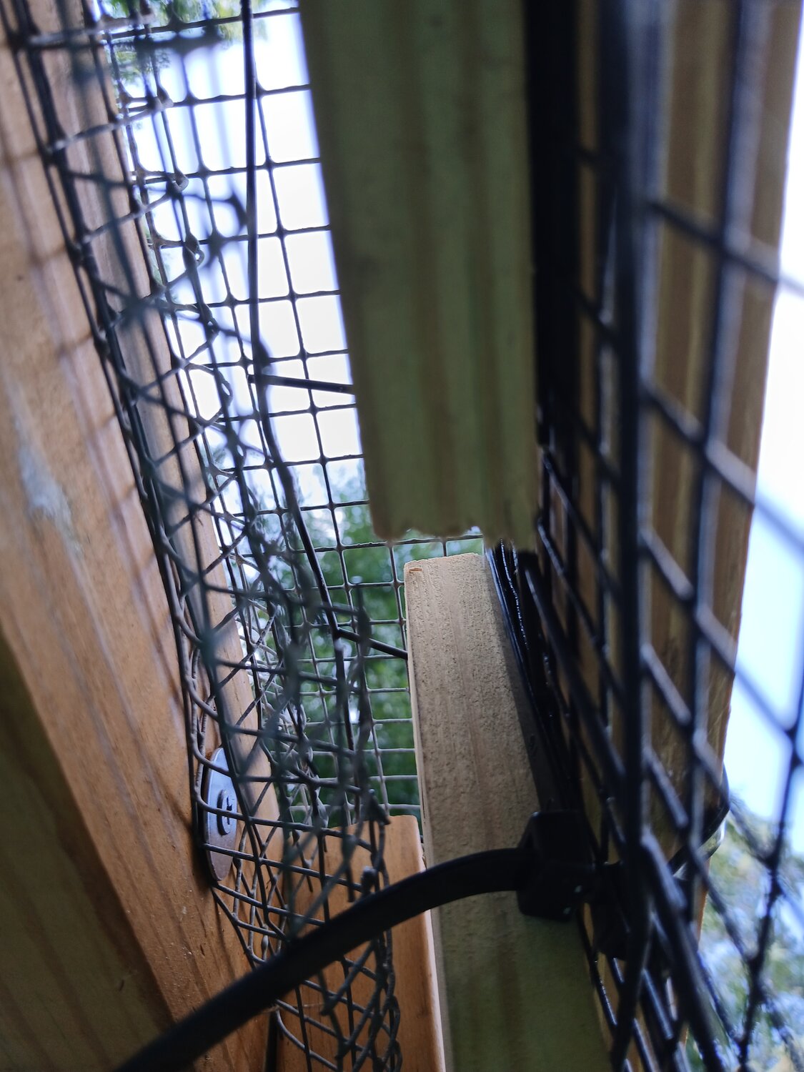 20250606_165340.jpg