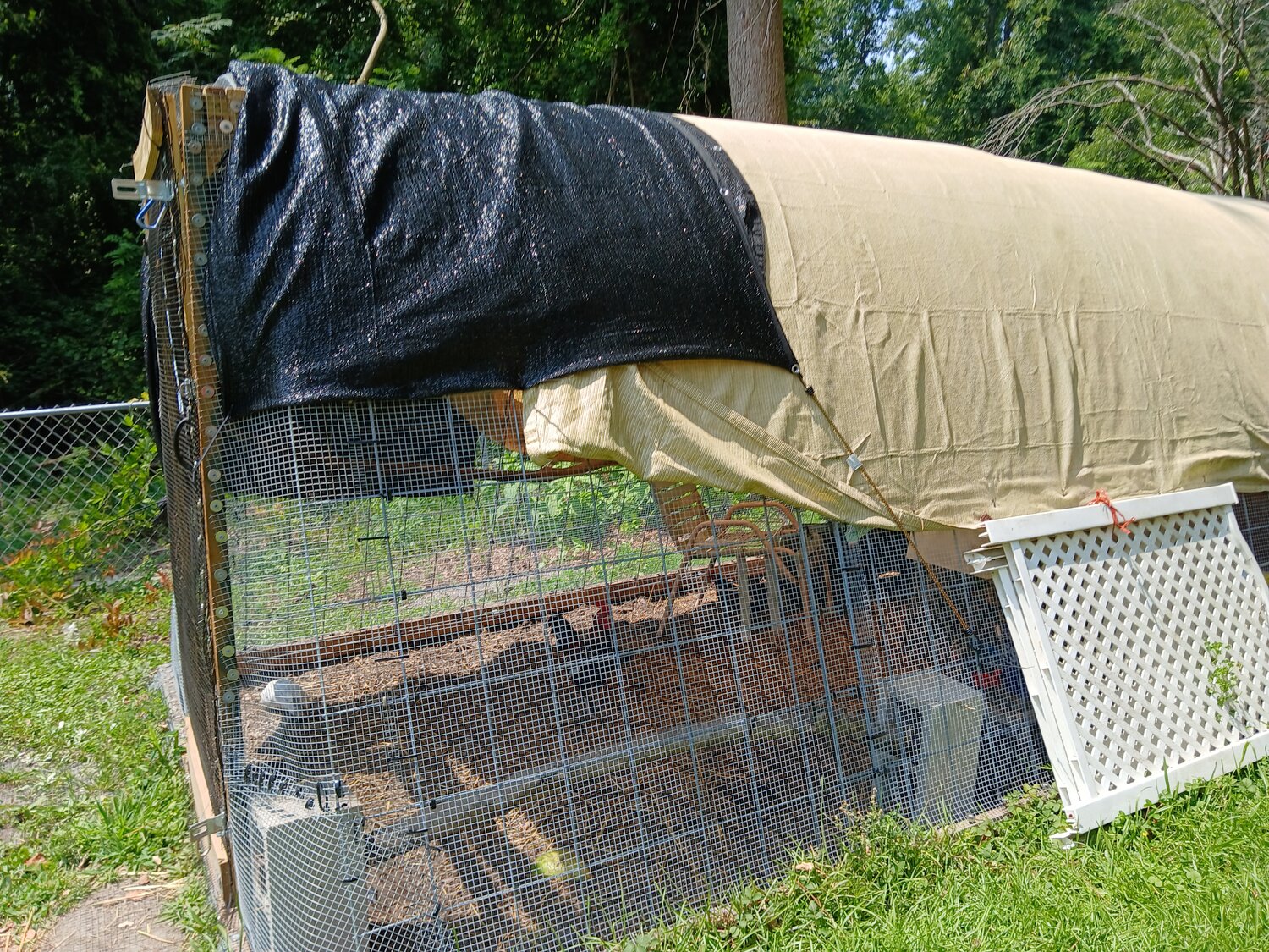 20250627_120347.jpg