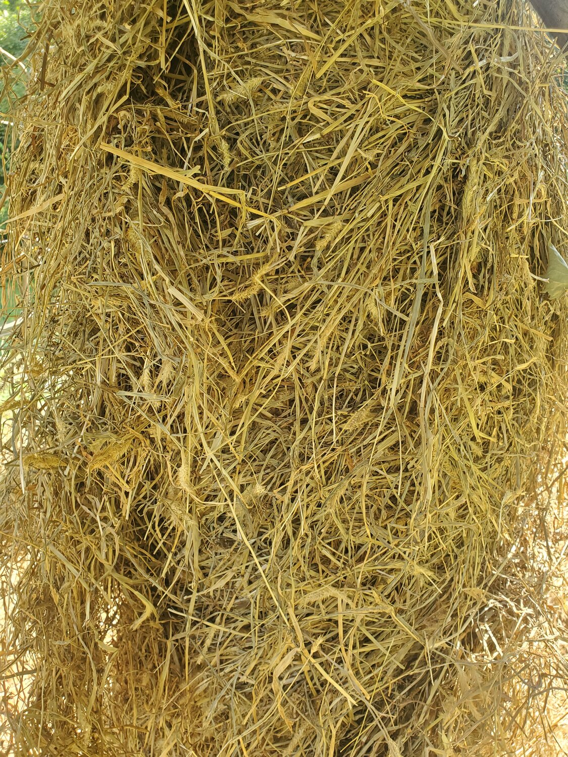 20250808_163652.jpg