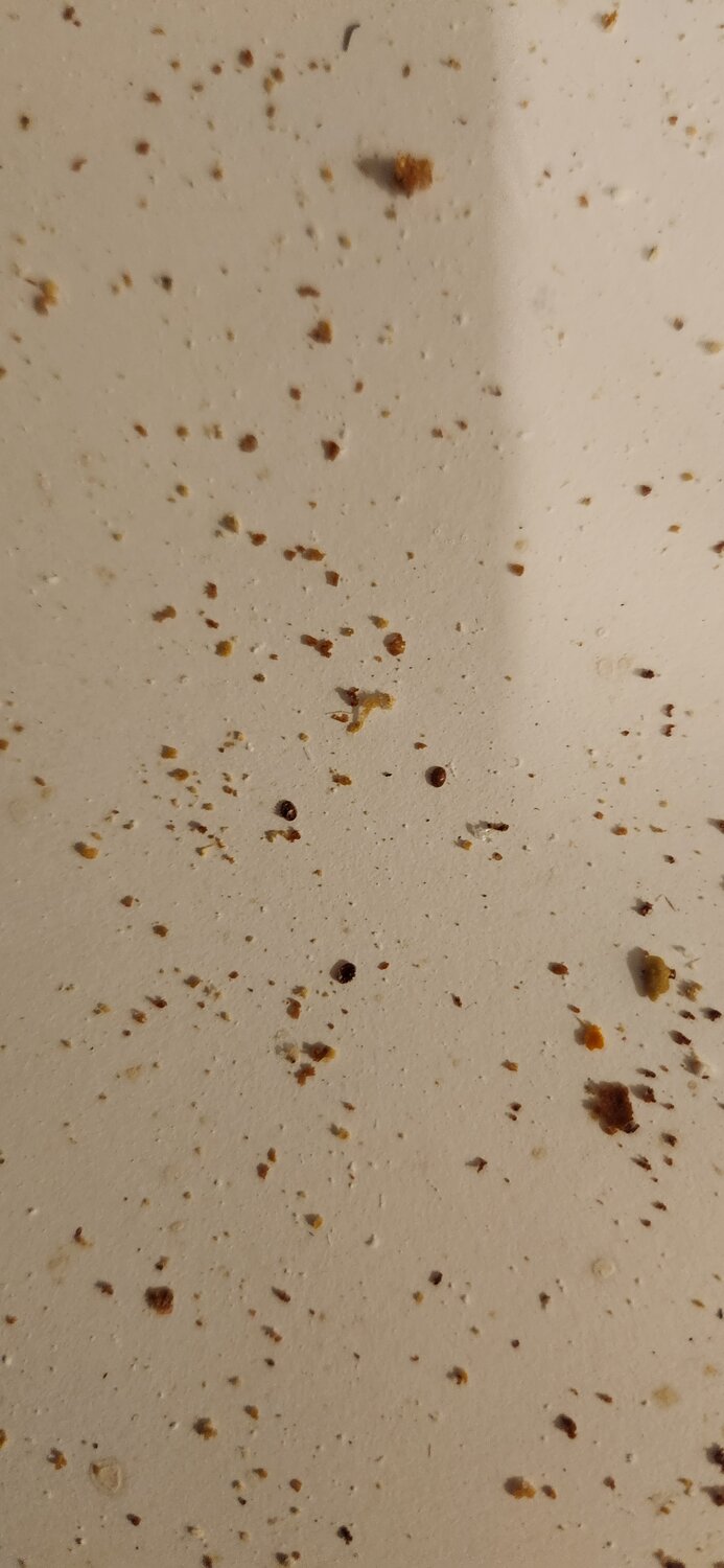 20250830_090838.jpg