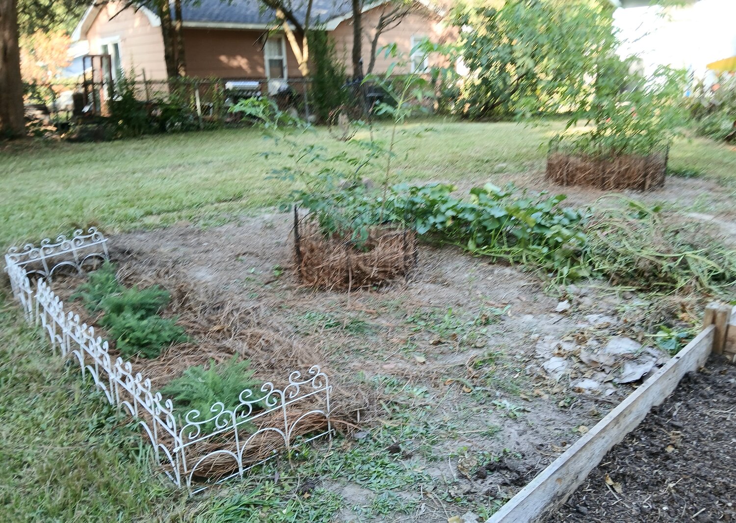 20250914_163907.jpg
