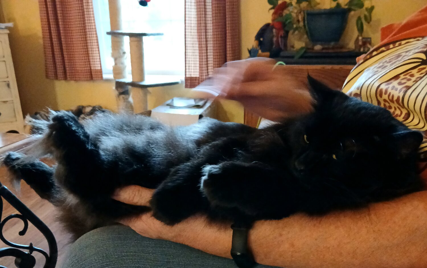 20250919_181735.jpg