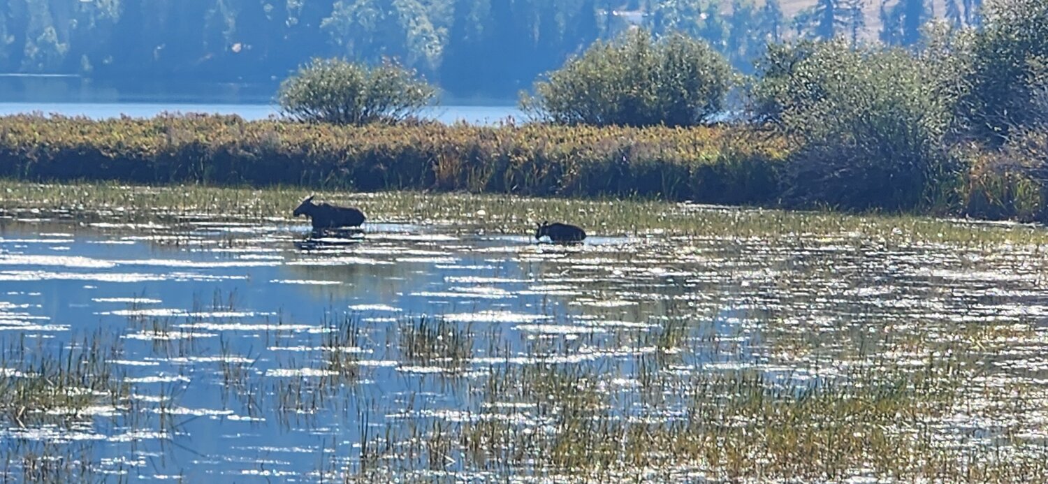 20250924_125849.jpg