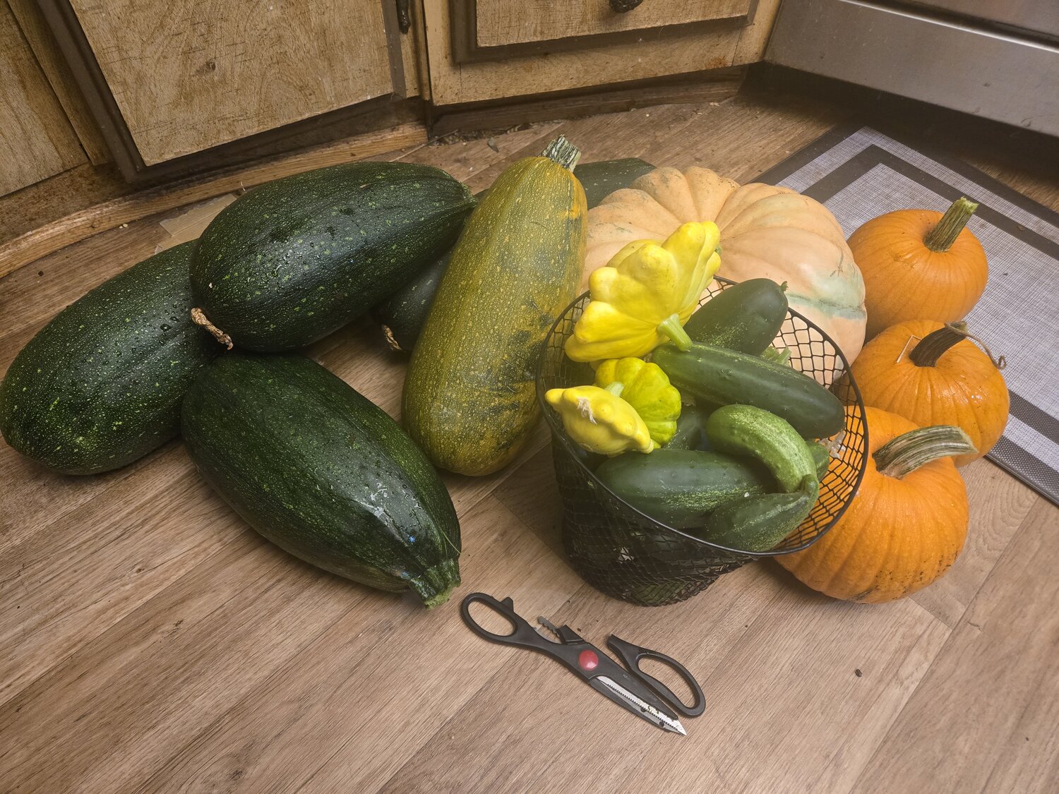 20250928_212638.jpg