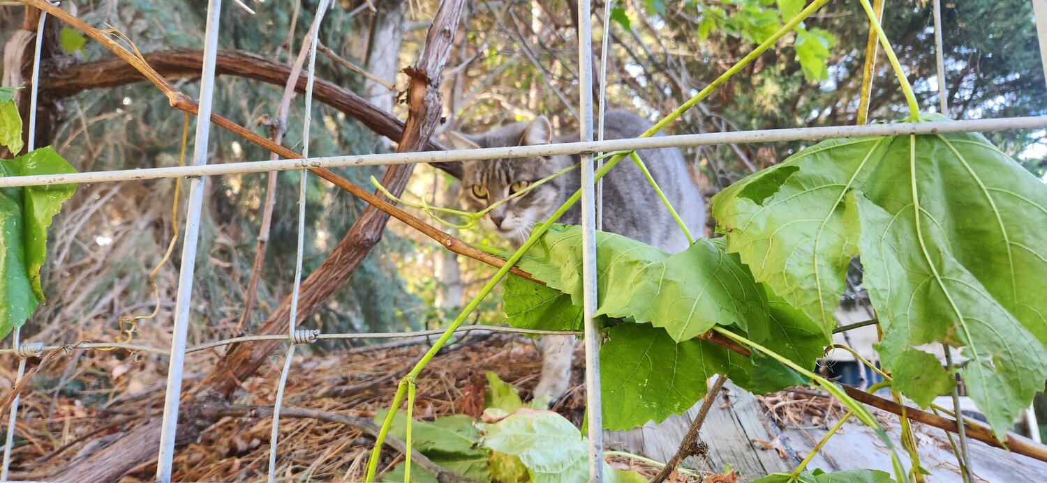 20251021_130713.jpg