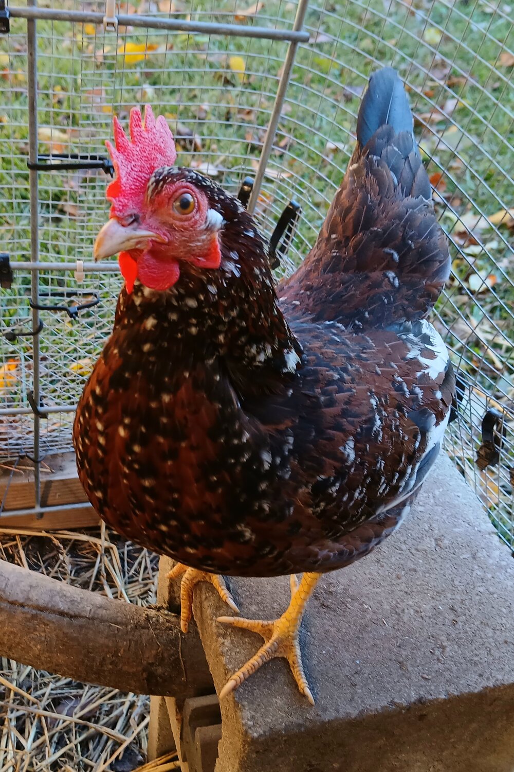 20251031_153111 Esther.jpg