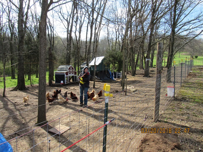 21 Mar 2018 T & her chickens2.JPG