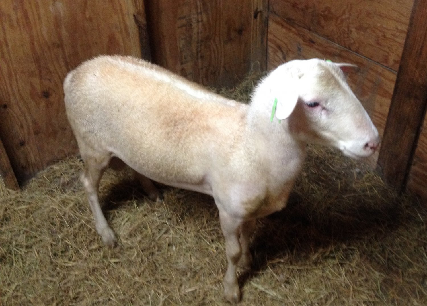 5 mo ram.jpg