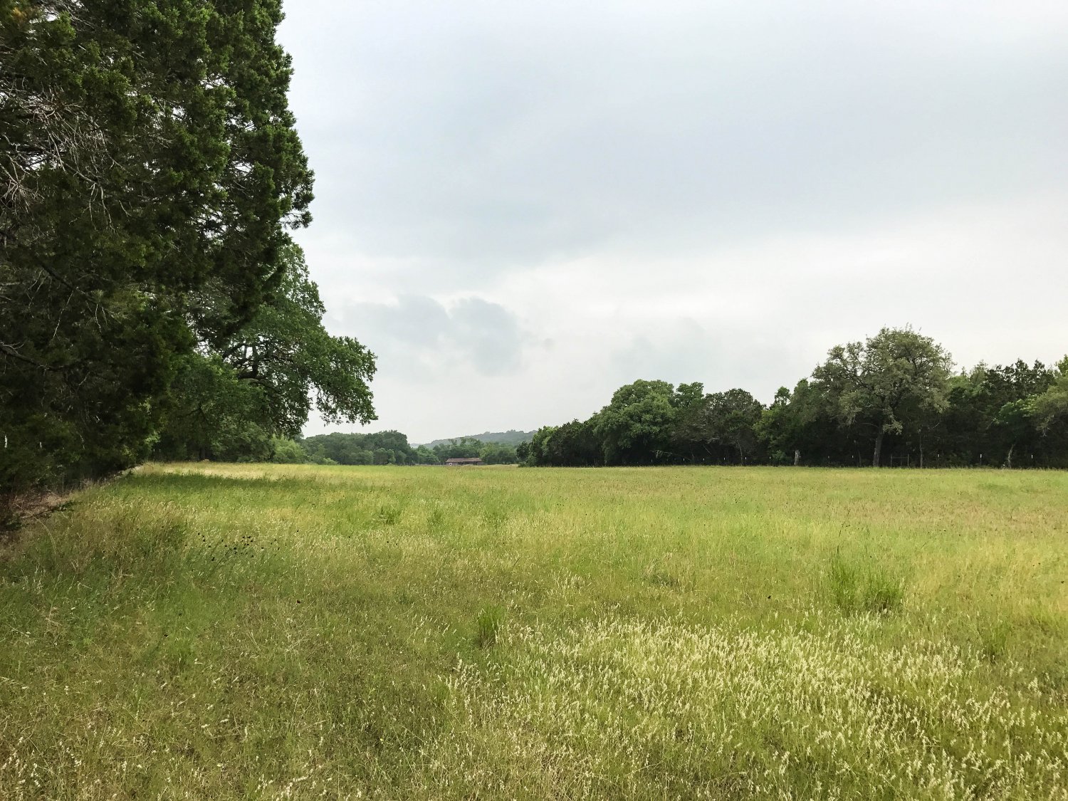 _Pasture Barn in distance 2-1.jpg