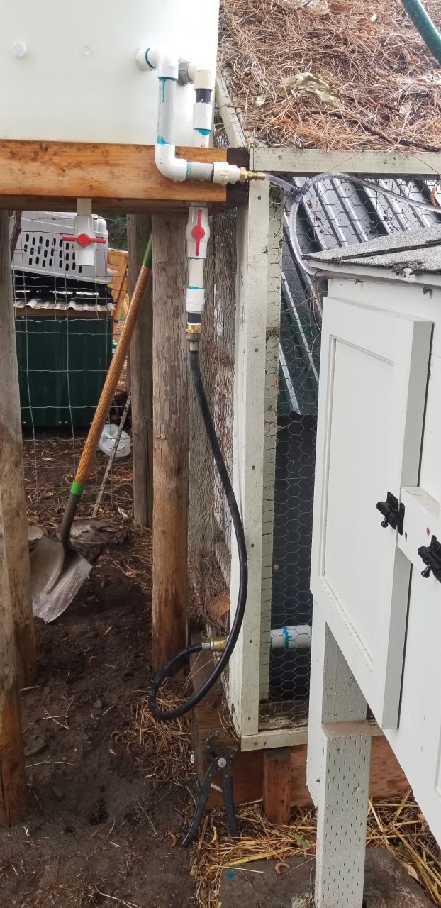 Auto Water Plugs & Plumbing Finished 6.28.2020.jpg