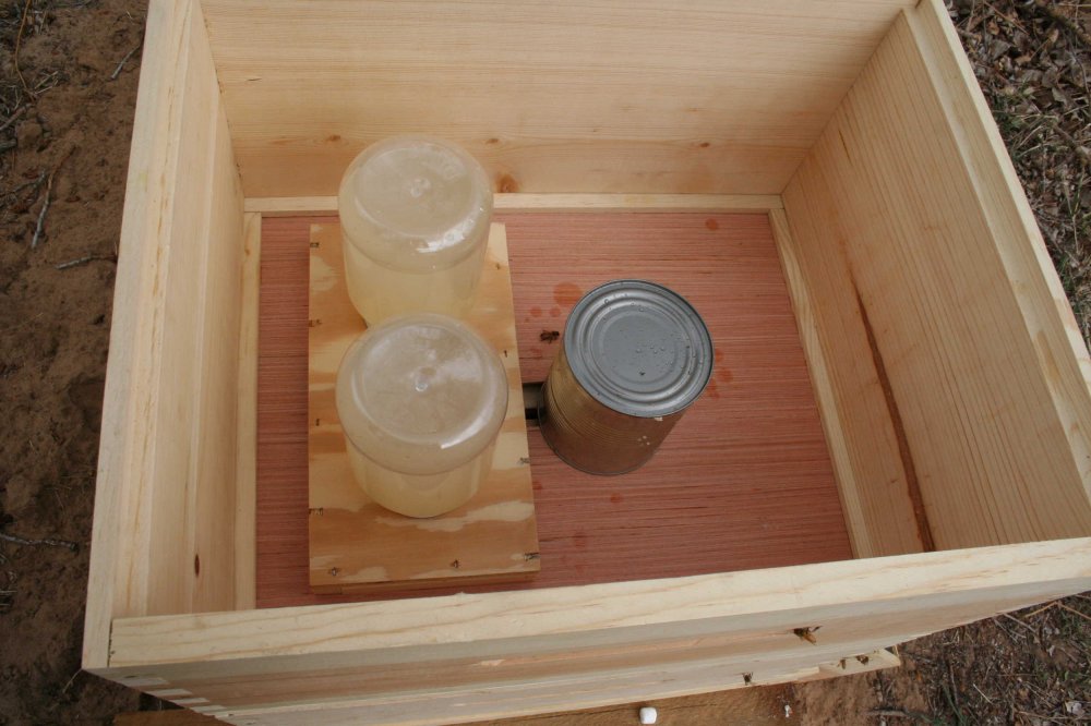 Bee feeding set up.JPG