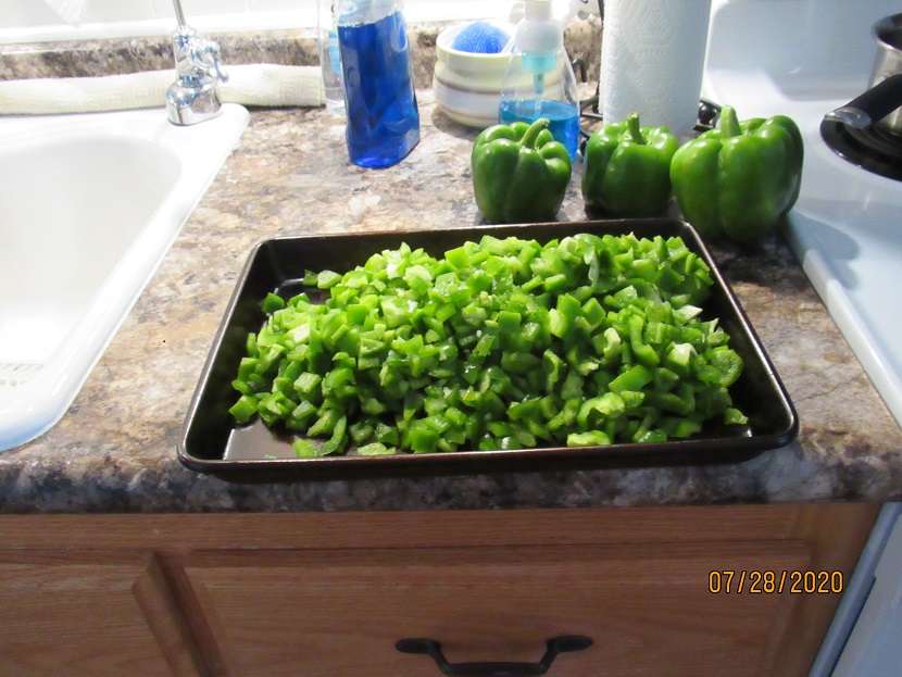 Bell peppers 28 July 2020.JPG