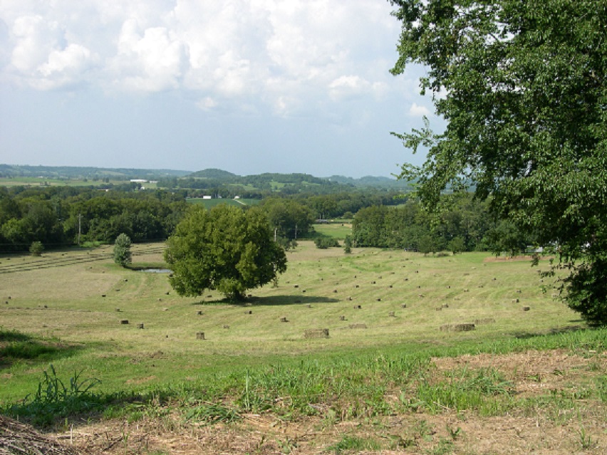 BYH Pasture Cutting Hay III 25Aug 2016.JPG