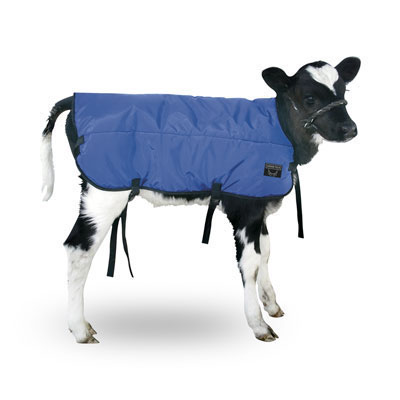 Calf Blanket.jpg