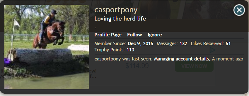 casportpony_2.PNG