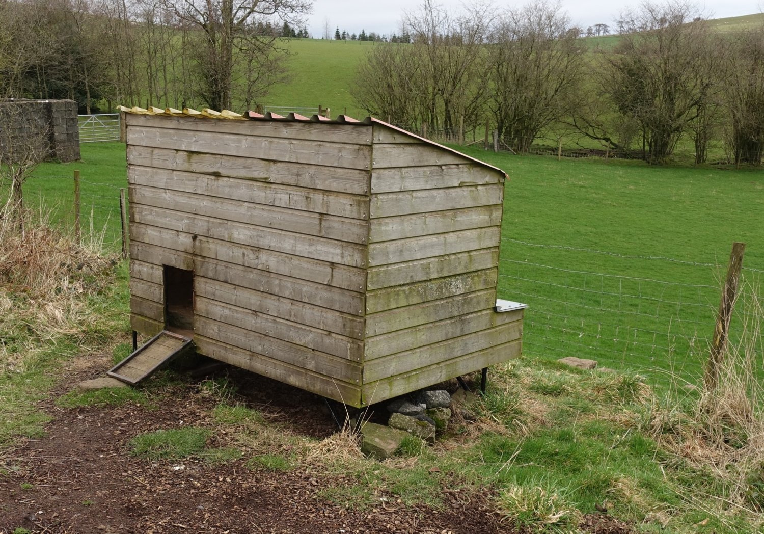 Chicken house.jpg