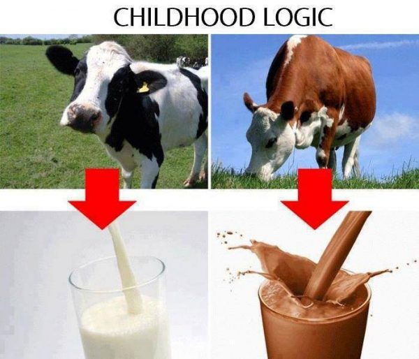 childhood-logic-chocolate-milk-cows-funny-lawlz-meme-600x514.jpg