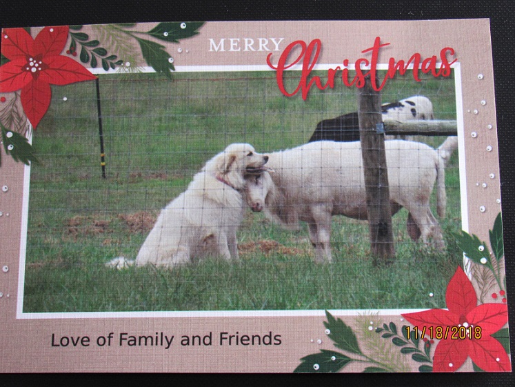 Christmas Card 2018.JPG