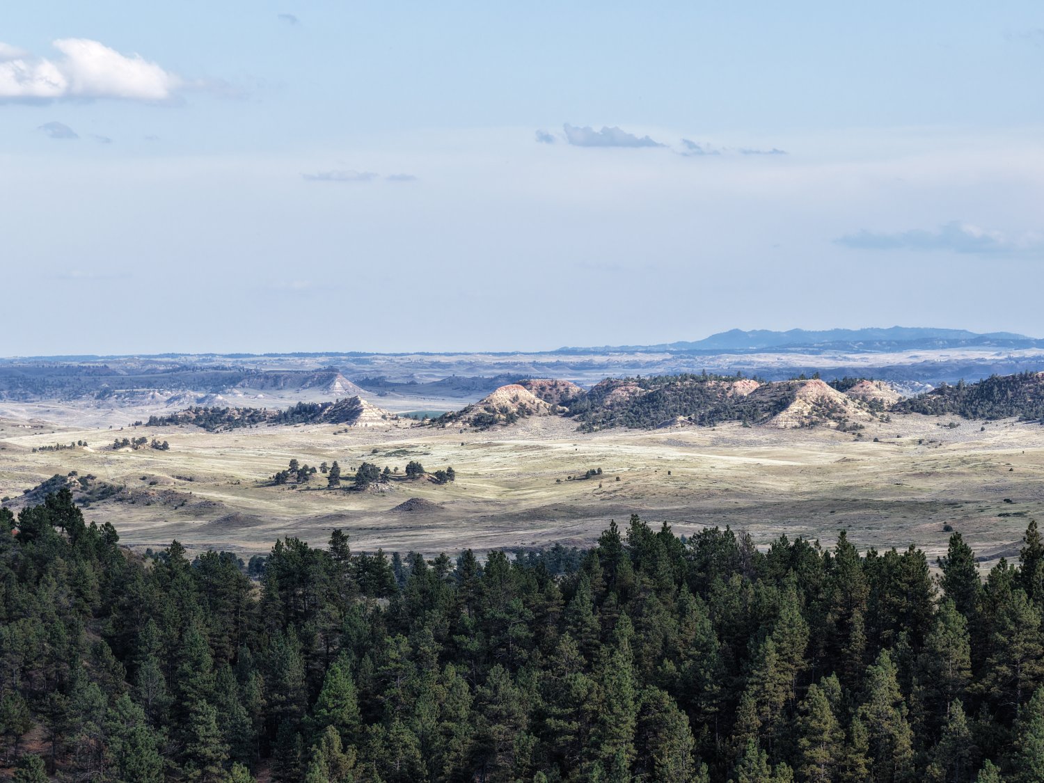 DJI_20250806080103_0015_D.JPG