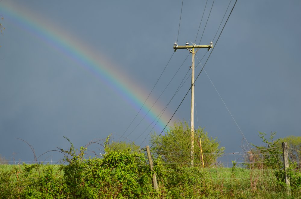 DSC_0147.JPG
