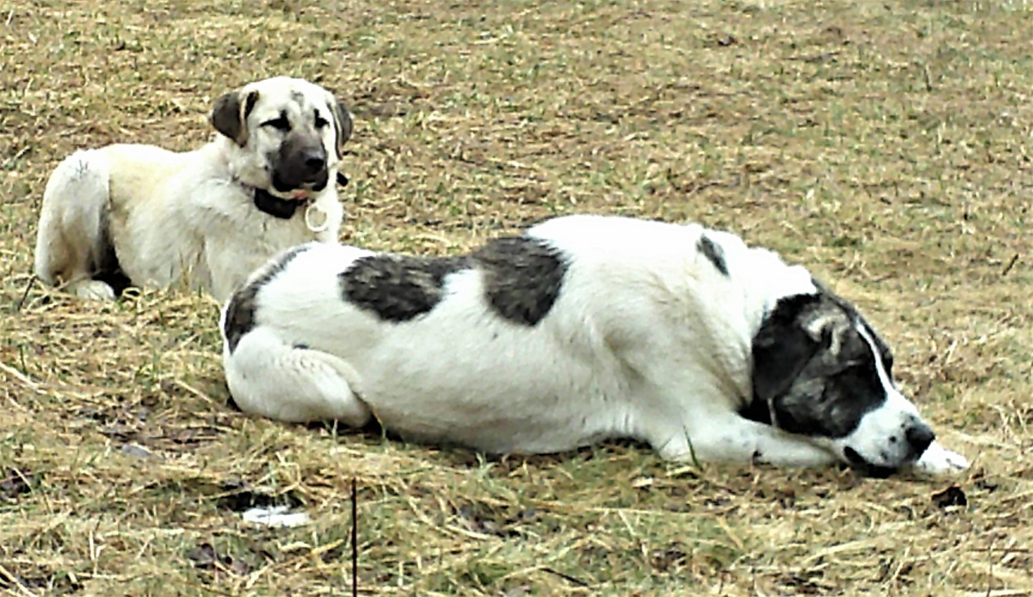 DSCF0007.JPG
