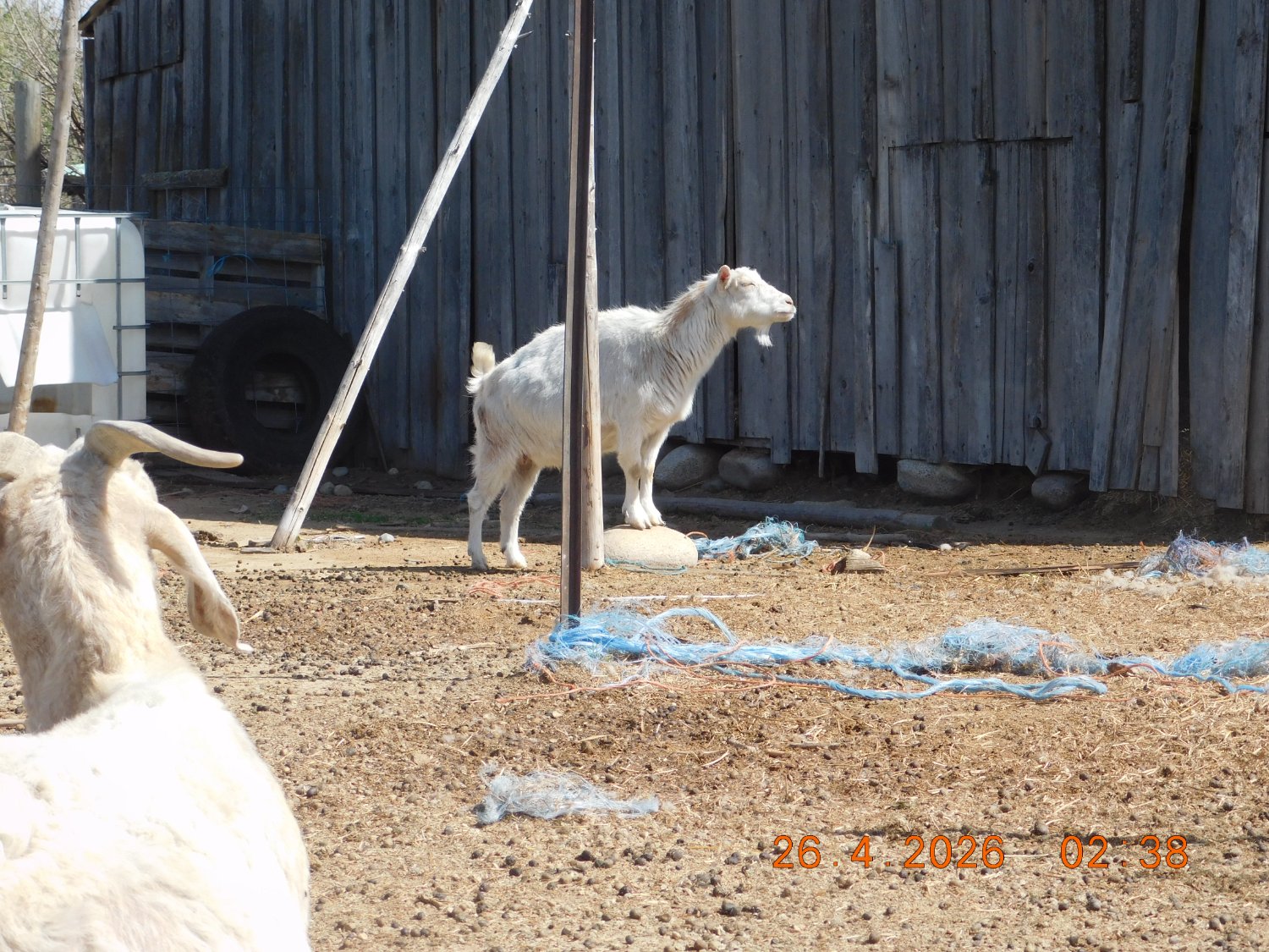 DSCN0932.JPG
