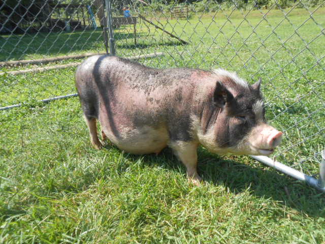 DSCN1289.JPG