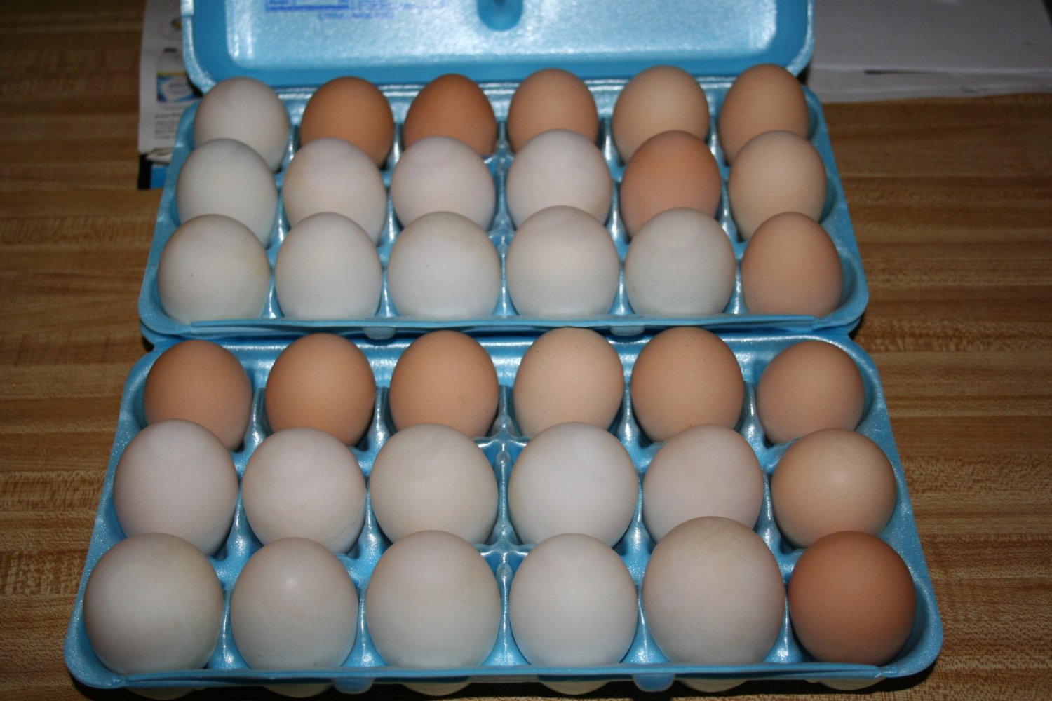 duck eggs.JPG