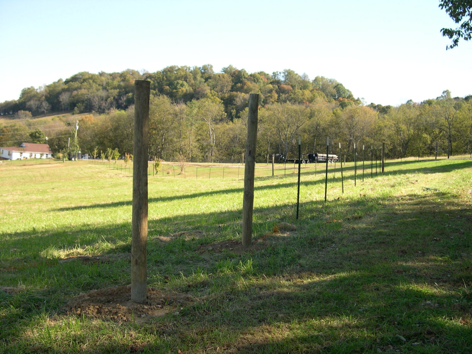 East fence 2 31 Oct 2017.JPG