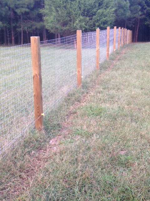fence 1.jpg