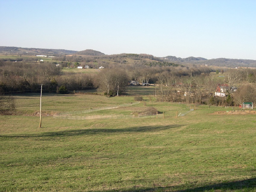 Fence install 17 Feb 2017.JPG