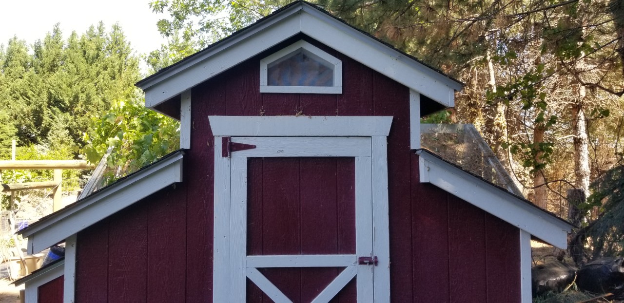 Gable End Vent for Chicken Coop 5.31.2020.jpg