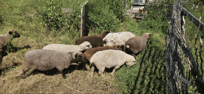 GIF_20250823_135713_695.gif