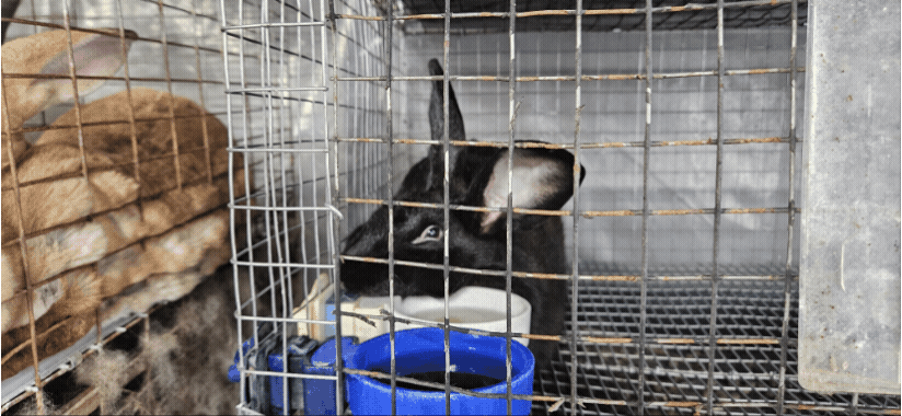GIF_20250916_104316_444.gif
