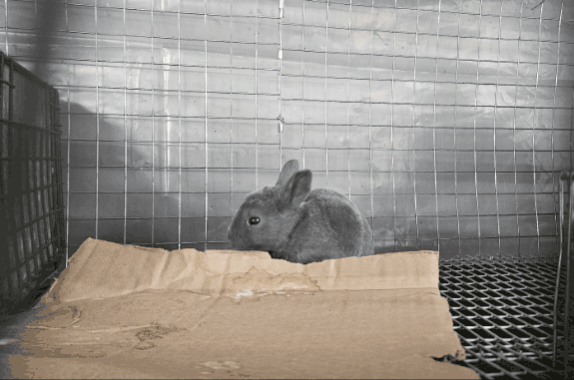 GIF_20251025_114816_364.gif