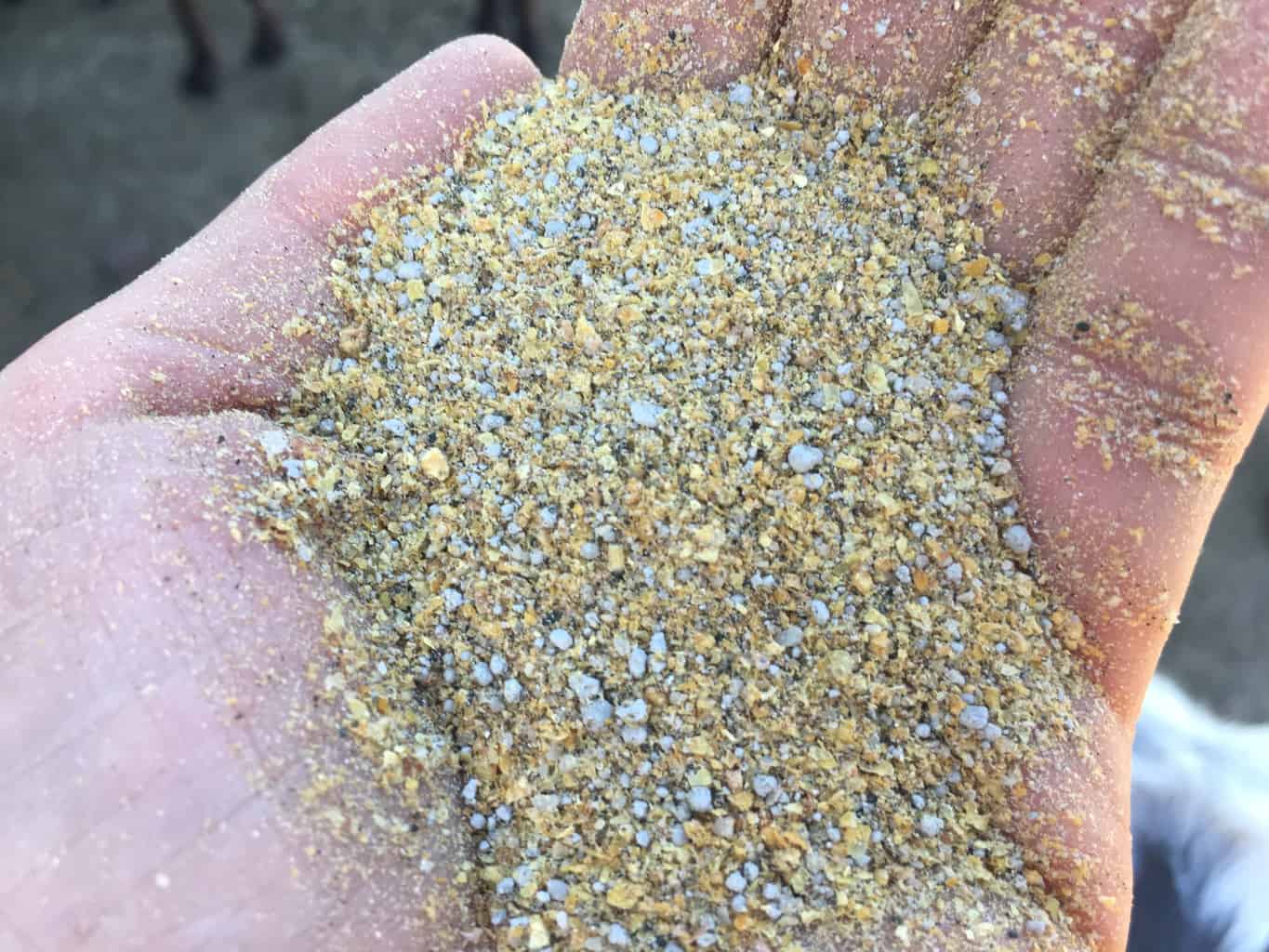 Goat Minerals.jpg