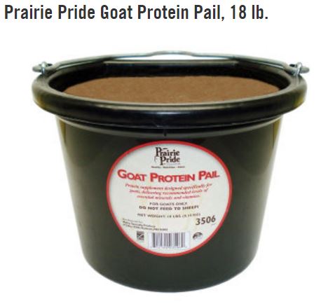 Goat Protein Pail.JPG