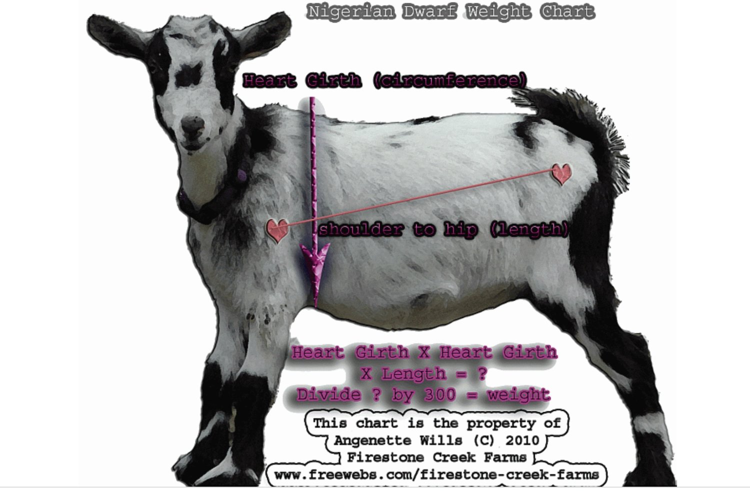 httpsthreadsmeasuring goat weight39545