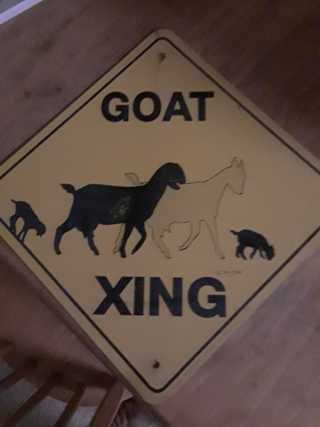 goat xing.jpg