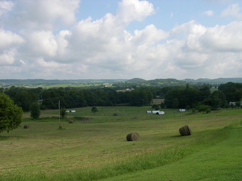 Hay cutting 23 Aug 2017.JPG