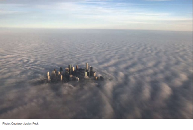 houstonfog.jpg